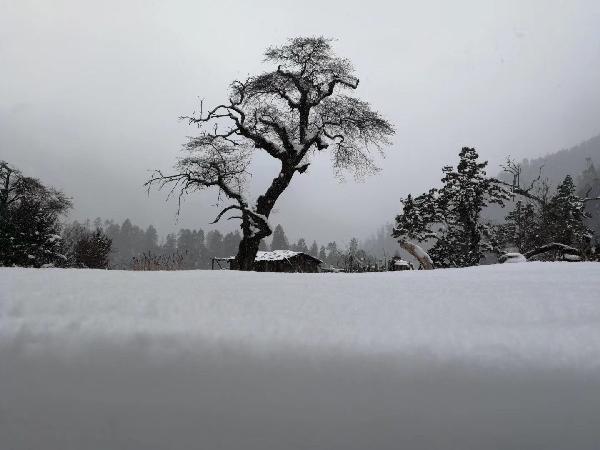 贵州山居|“南国”冰雪绘织“北国”锦绣